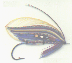 fly.gif (49088 �o�C�g)