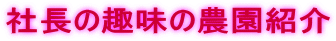 В̎̔_Љ