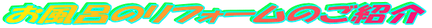 C̃tH[̂Љ