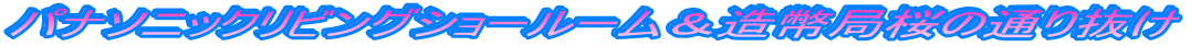 pi\jbNrOV[[Ǎ̒ʂ蔲 
