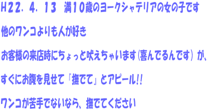 gQQDSDPR@PO΂̃[NVeȀ̎qł  ̃RlD  ql̗XɂƖiႢ܂(łłjA  ɂāwłāxƃAs[!!  RłȂȂAłĂ 