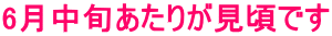 6{肪ł