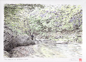 The stream of wisteria color