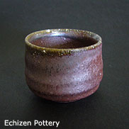 Echizen Pottery Naoki Izumi 2011