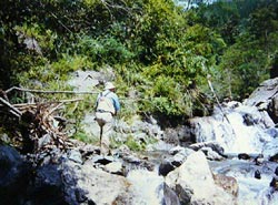 Fishing in Gokanosho