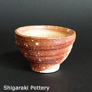 Shigaraki Pottery 2004