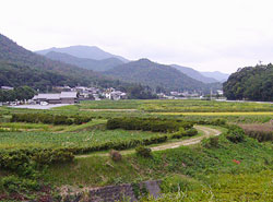 Village of Tanba Tachikui