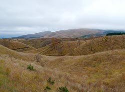 View from Yamanami road