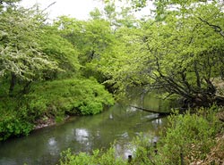 Yugawa River