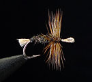 Tenkara Akiyamago 6