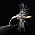 Tenkara Akiyamago 3