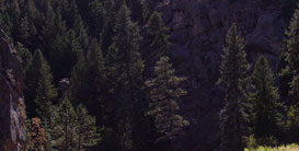 Big Thompson River and a Angler