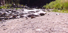 Big Thompson River and a Angler