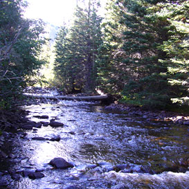 Boulder Creek 2