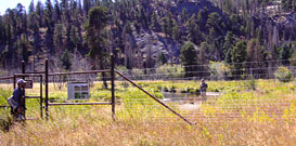 Gate to a Stream