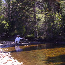 Stream and Angler 1