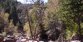 South Boulder Creek 3