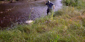 South Boulder Creek and Angler