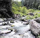 Stream near Sakashita