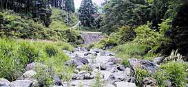 Stream near Sakashita