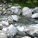 Stream near Bohmura