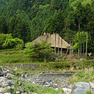 Thatched roof