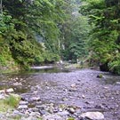 The stream in the vicinity of Yokotani