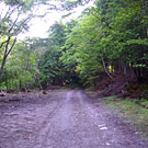 Ibaragawa Forest Road