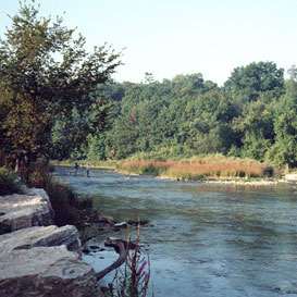 Foot Bridge over Stream