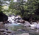 Upper stream of Shirakawa Riv.