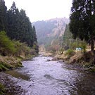 Tachito Bridge's neighborhood