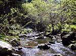 Upper stream of Nakatsugawa riv.