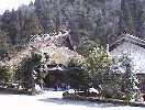 house with thatched roof