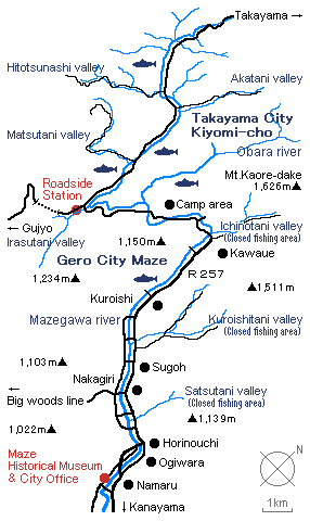 field map of maze