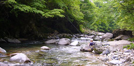 The upper stream of Mazegawa River 1