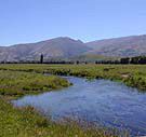 Mataura River 3