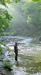 Myself in the upper stream