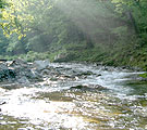 Upper stream2