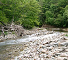 Upper stream3