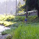 The stream near fishing license shop