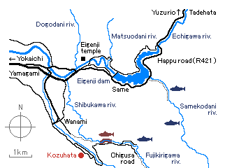Field map of Shibukawa