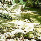 Upstream Hondanigawa Riv.