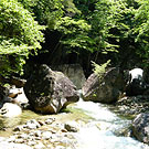 Masutomi Mineral Spring's neighborhood