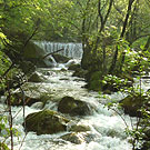 Upstream Kamasegawa Riv.