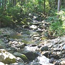 The narrow stream