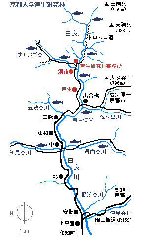 field map of yuragawa