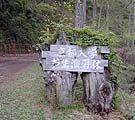 Gate of Testing Forest