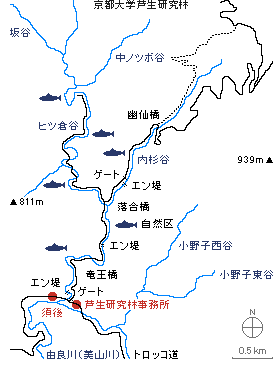 Naesugidani map