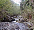 Upper stream from the dam