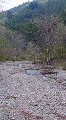 Upper stream of the dam